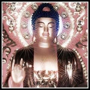 Meet your Posher, Timothy